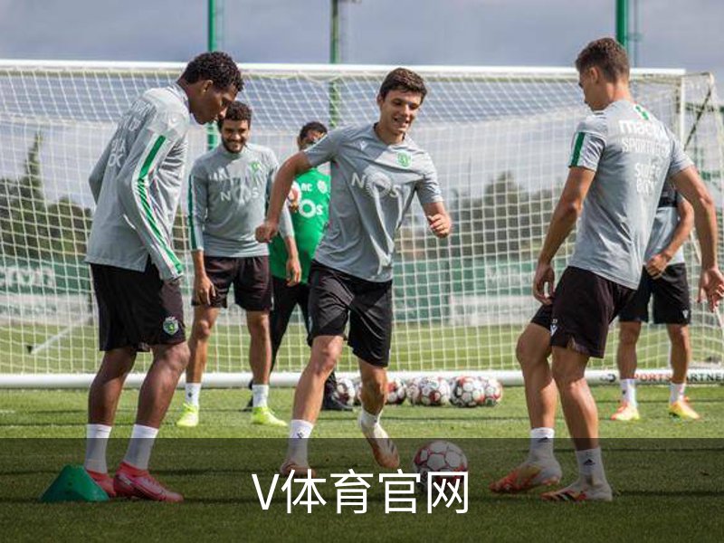 V体育官网介绍